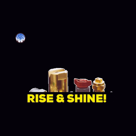 Rise And Shine Brass Fittings GIF