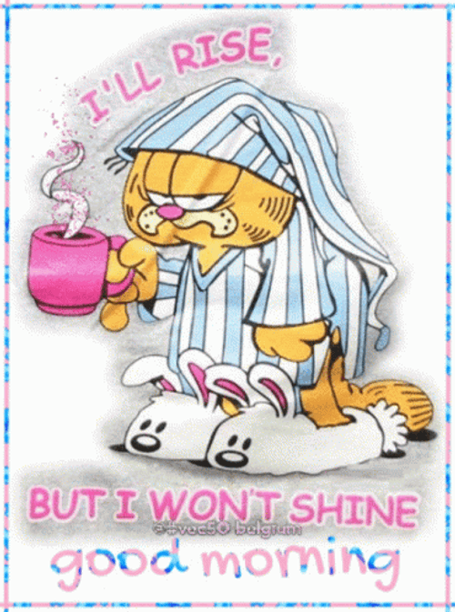 Rise And Shine Grumpy Garfield GIF
