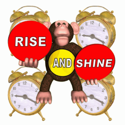 Rise And Shine Monkey Cartoon Clock GIF