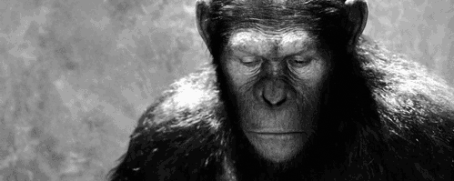 Rise Of The Planet Of The Apes Ceasar GIF
