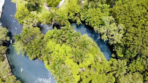 River Aerial Drone View GIF