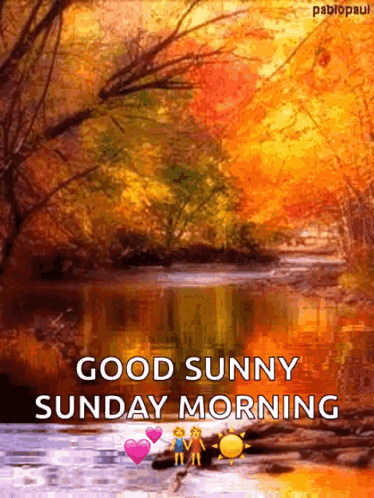River Good Sunny Sunday Morning GIF