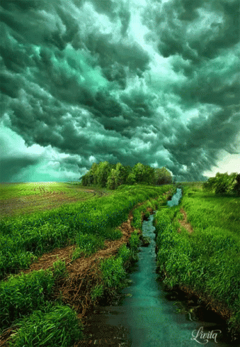 River Running Through Grassy Field GIF