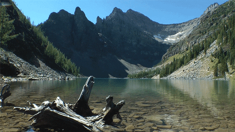River Stream Mountain GIF