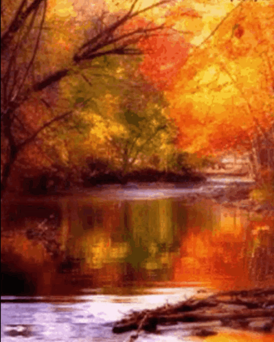 River Surrounded by Trees and Leaves