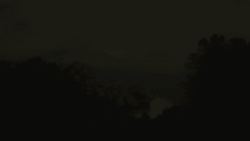 River Surrounded By Trees And Mountains GIF