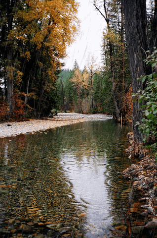 River Surrounded by Trees and Rocks on Cloudy Day
