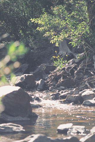 River Water Flowing Portrait GIF