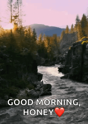 River With Good Morning Honey