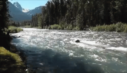 River With Mountains and Trees