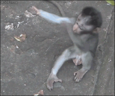 Rizz Baby Monkeys Tight Hug GIF