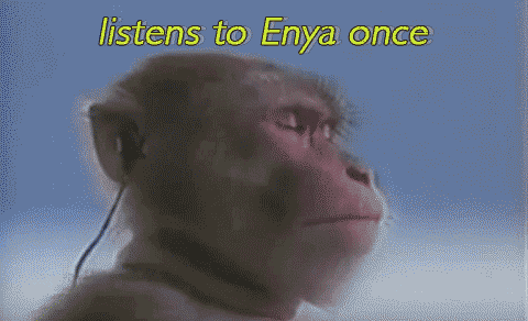Rizz Calm Monkey Meditating Meme GIF