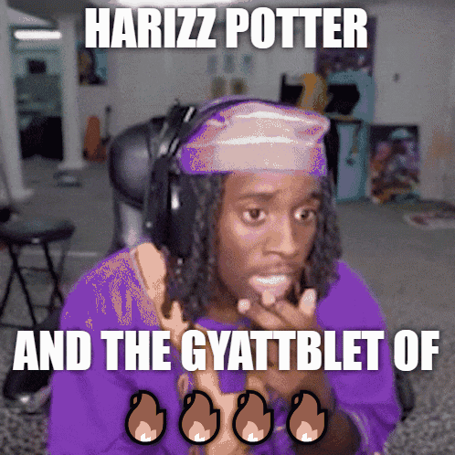 Rizz Meme Harizz Potter GIF