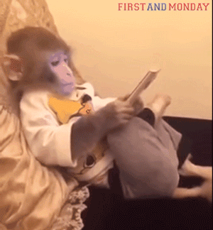 Rizz Monkey Chilling Using Mobile Phone GIF