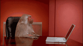 Rizz Monkey Flipping Out GIF