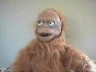 Rizz Monkey Puppet Wacky Face GIF