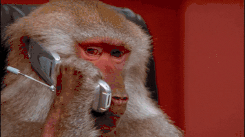 Rizz Monkey Talking On Mobile Phone GIF