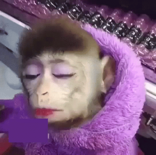 Rizz Monkey Wearing Make Up GIF