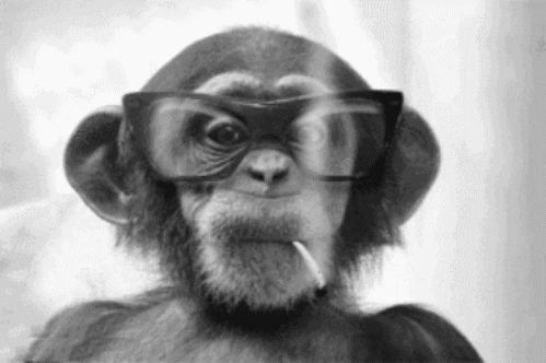 Rizz Nerdy Monkey Wearing Eyeglasses Puffing Smoke GIF
