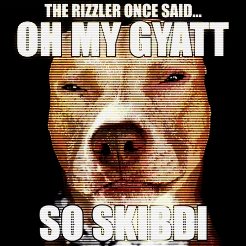 Rizzler Flashing Bully Image GIF