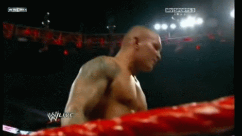 Rko Outta Nowhere Kick GIF