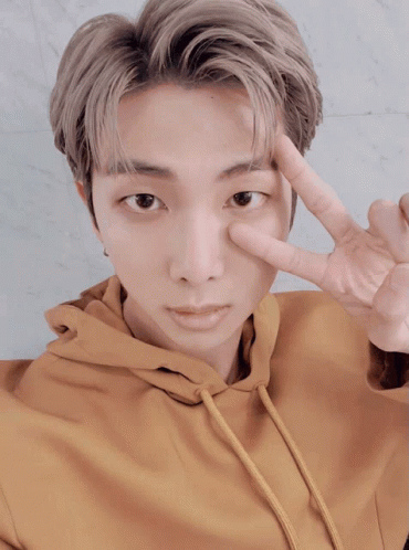 Kpop Bts Rm Hairstyle Peace Sign GIF