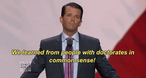 Rnc Businessman Donald Trump Jr GIF