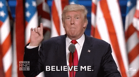 Rnc Donald Trump Believe Me GIF