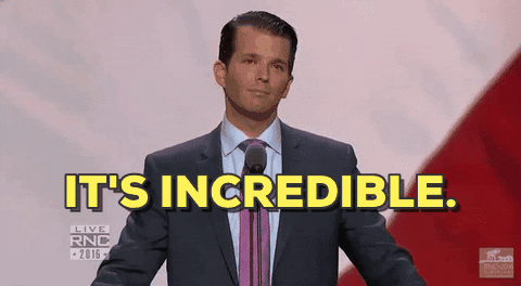 Rnc Donald Trump Jr Speech GIF