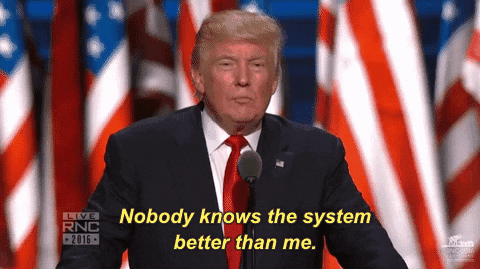Rnc Donald Trump Knows The System GIF
