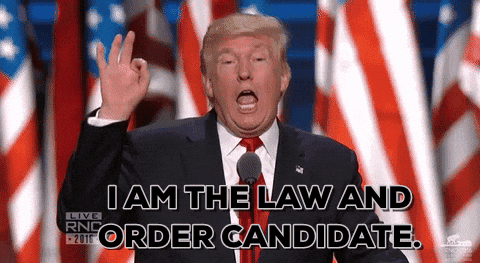 Rnc Donald Trump Law And Order Candidate GIF