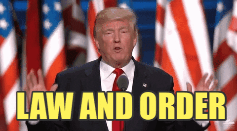 Rnc Donald Trump Law And Order Meme GIF