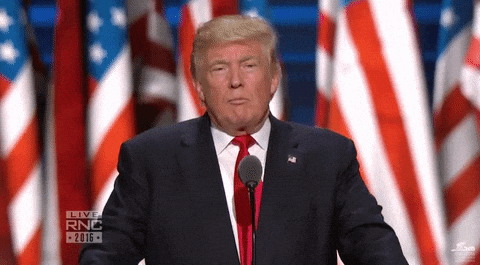 Rnc Donald Trump Shaking Head GIF