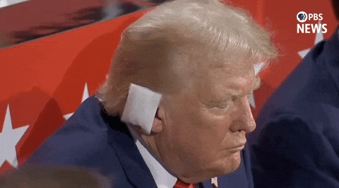 Rnc Donald Trump Wounded Ear GIF