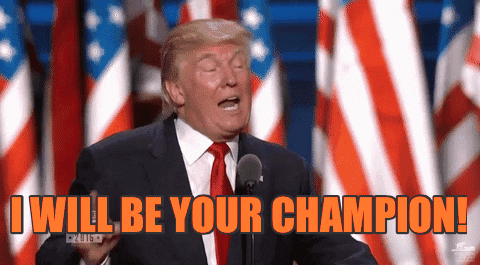 Rnc Donald Trump Your Champion GIF