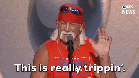 Rnc Hulk Hogan Really Tripping GIF
