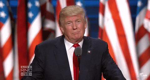 Rnc Presidential Candidate Donald Trump Head Tilt GIF