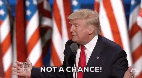 Rnc Presidential Candidate Donald Trump No Chance GIF