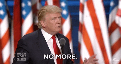 Rnc Presidential Candidate Donald Trump No More GIF
