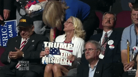 Rnc Republican Fans Trump Signage GIF