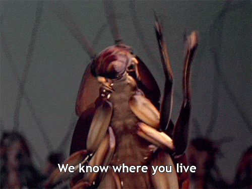 Roach 500 X 375 Gif GIF