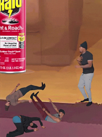 Roaches Died Raid Insect Spray GIF