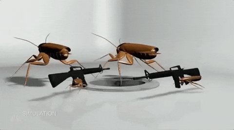 Roaches Gun War On Sink GIF