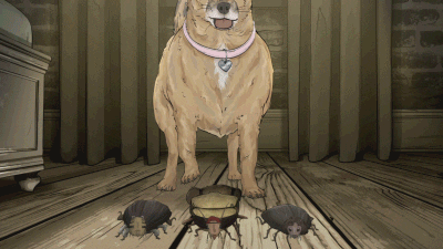 Roaches Run Fast Dog Behind GIF