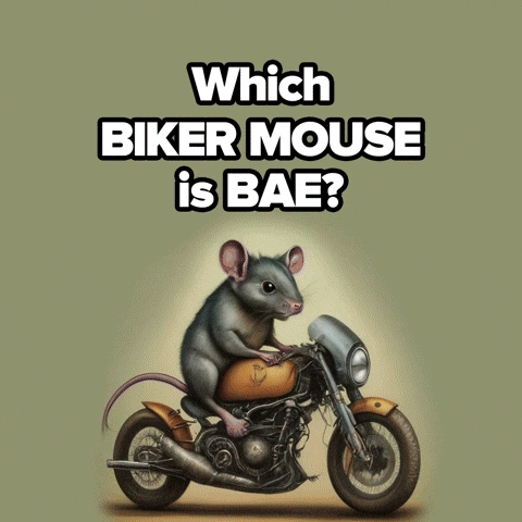 Road Biker Mouse Compilation GIF