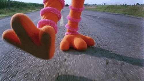 Road Chicken Feet Walking GIF