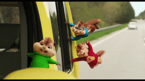 Road Chipmunks Having Fun GIF