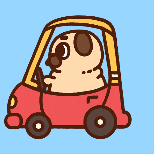 Road Dog Riding Small Car GIF