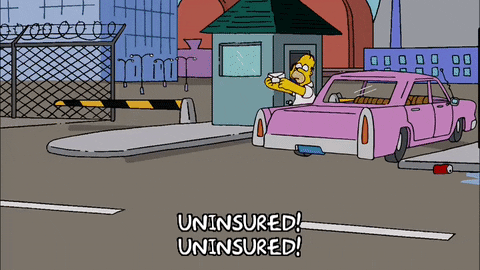 Road Homer Simpson Shouting Uninsured GIF