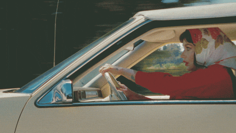 Road Kesha Driving Car GIF